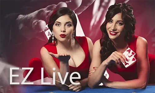 Live Casino Provider Logo 3